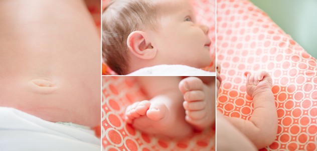 Newborn Photography 